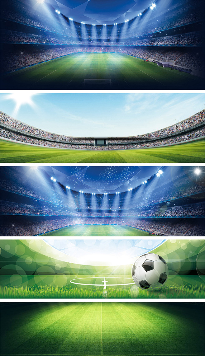 张宁回到轮 张宁回到轮